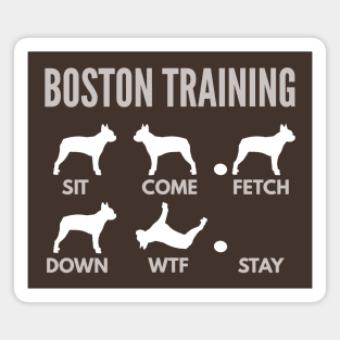 Boston Training Boston Terrier Tricks Magnet